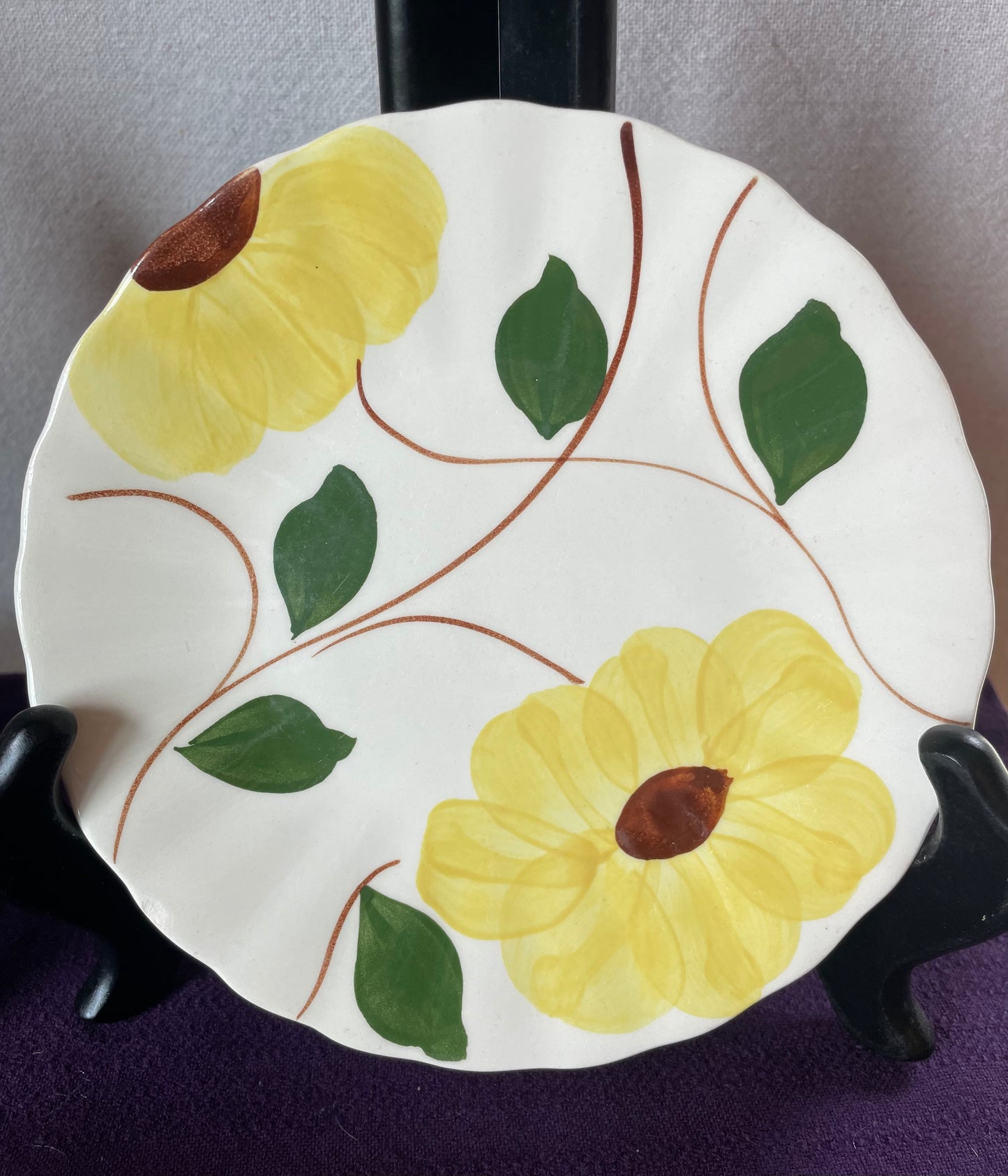Blue Ridge Southern Pottery set