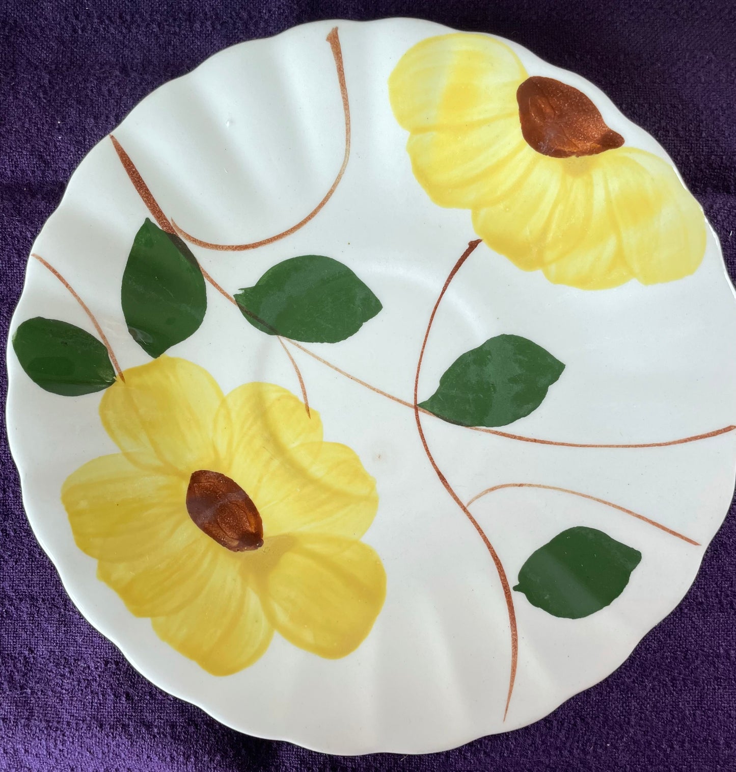 Blue Ridge Southern Pottery set
