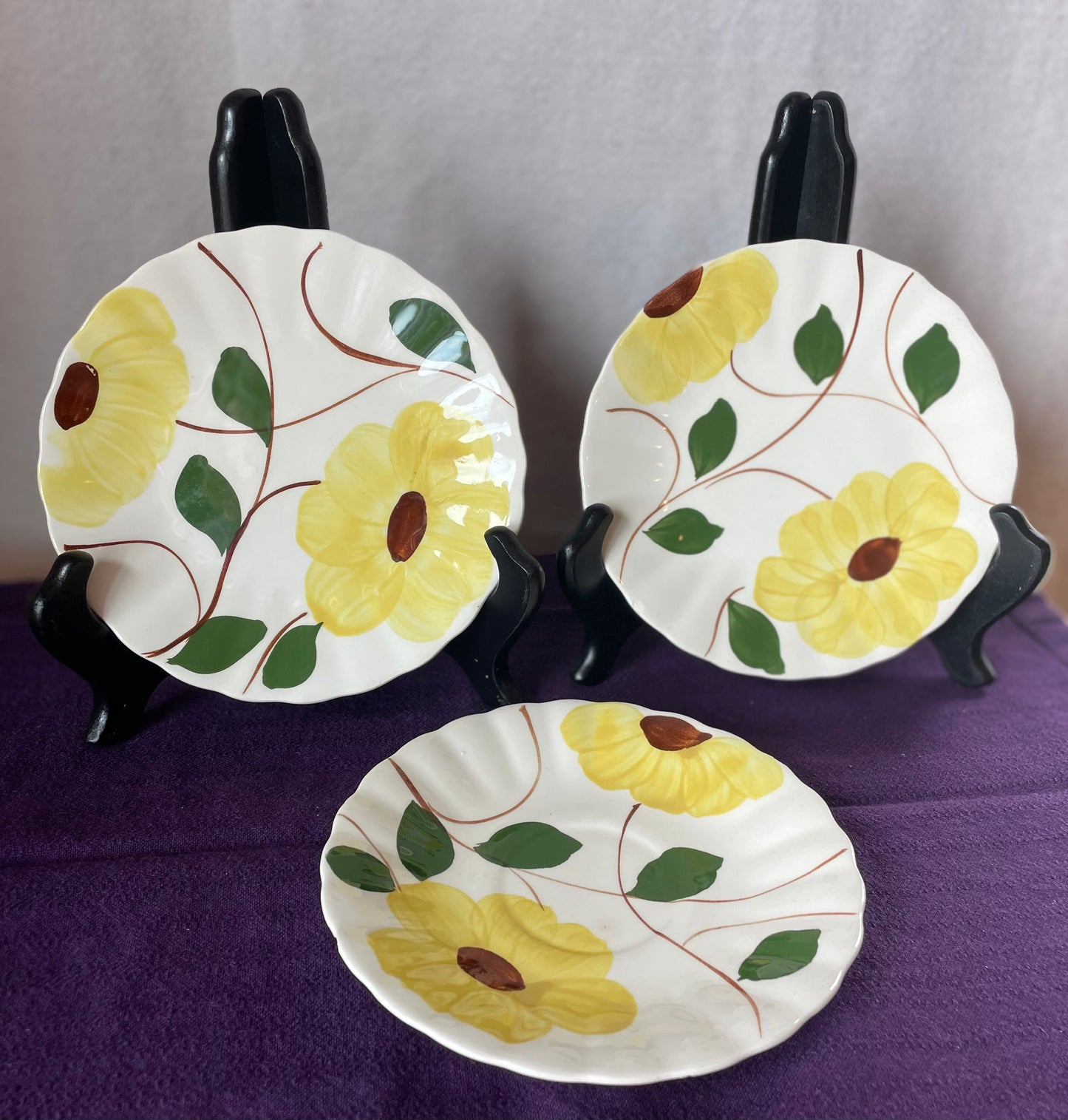 Blue Ridge Southern Pottery set